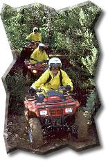 Horseback Riding Tours